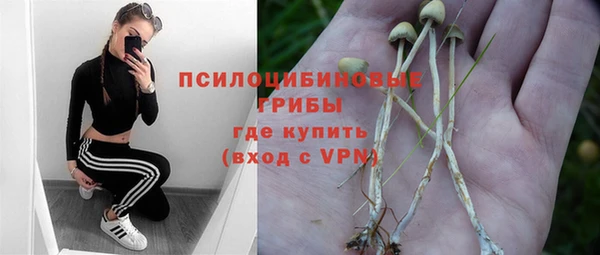 альфа пвп Белокуриха
