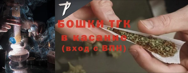 сатива Арсеньев