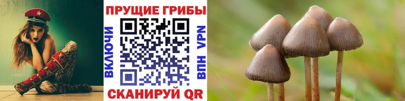 Галлюциногенные грибы GOLDEN TEACHER  Купить  Сковородино 